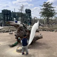 辽源动植物园·免费入园+萌宠零距离互动