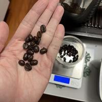 无限回购!奶咖党本命口粮豆,醇香深烘越喝越上头✨