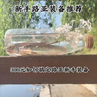 300元内微物路亚新手装备选购指南