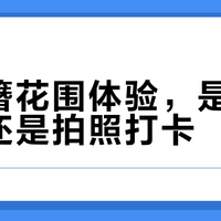 40元vs150元簪花体验大拆解：避坑指南+非遗还原度实测