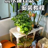 生态龟缸流水罐过滤系统：功能原理与安装指南