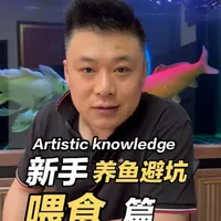 新手养鱼避坑指南：科学喂食的五大核心原则