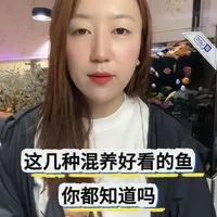 新手友好型观赏鱼混养组合推荐