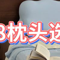 618枕头怎么选？接触超过60款枕头深度总结：看这两点就够了！