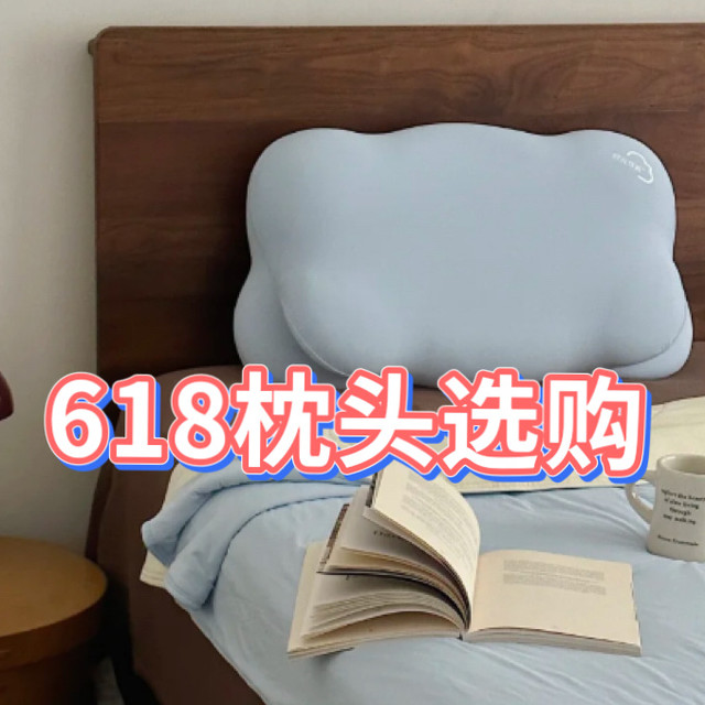 618枕头怎么选？接触超过60款枕头深度总结：看这两点就够了！