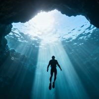 第3篇：佛罗里达"洞潜坟场"，300多人消失在水下，为什么还有人往里跳？
