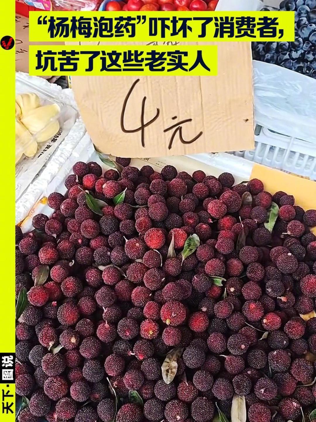 少数人“泡药”全体果农买单:杨梅从20元跌到8毛也无人问