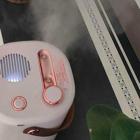 618优惠入手的静音加湿器体验