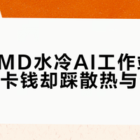 雷神AMD水冷AI工作站实测：省显卡钱却踩散热与生态坑？