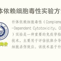 客厅越亮电视越像镜子？三款抗反光电视实测，谁真能扛住强光