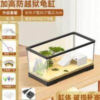 小缸造景雷区全解析：这样布局才显大