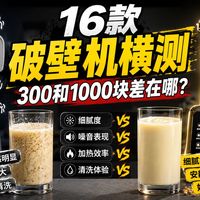 【618破壁机推荐】16款破壁机横测：300和1000块到底差在哪？教你怎么选破壁机！
