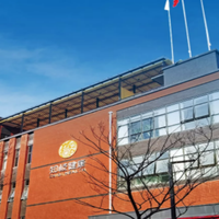 天然选材，科学调理——菊苣健康食品推荐