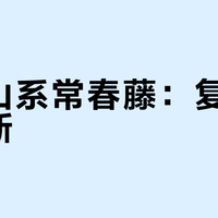 紫标山系常春藤：复刻还是创新？