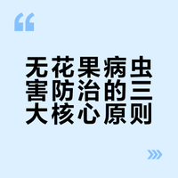 无花果常见问题（3）病虫害防治原则