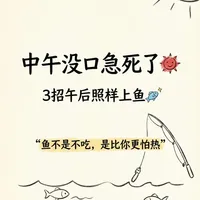 中午没口急死了，3招午后照样上鱼🐟