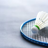 30块的线吊打300块？业余球友别再为高端线交智商税了