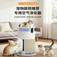 大宇空气净化器｜全家适用的家居空气防护好物