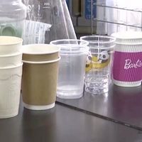 “可降解”杯子30天不烂？别被伪环保割了韭菜
