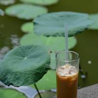 便利店咖啡凭啥赢了瑞幸？真相藏在30秒不排队的确定性里