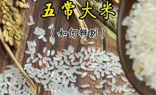 90%五常大米都是假的？十月稻田和乔府大院谁更靠谱