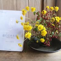 插图版《追忆似水年华》：新手友好还是多此一举？