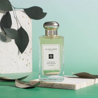 祖玛珑三款爆款香深度横评：蓝风铃、英梨、鼠尾草谁才是你的本命香？