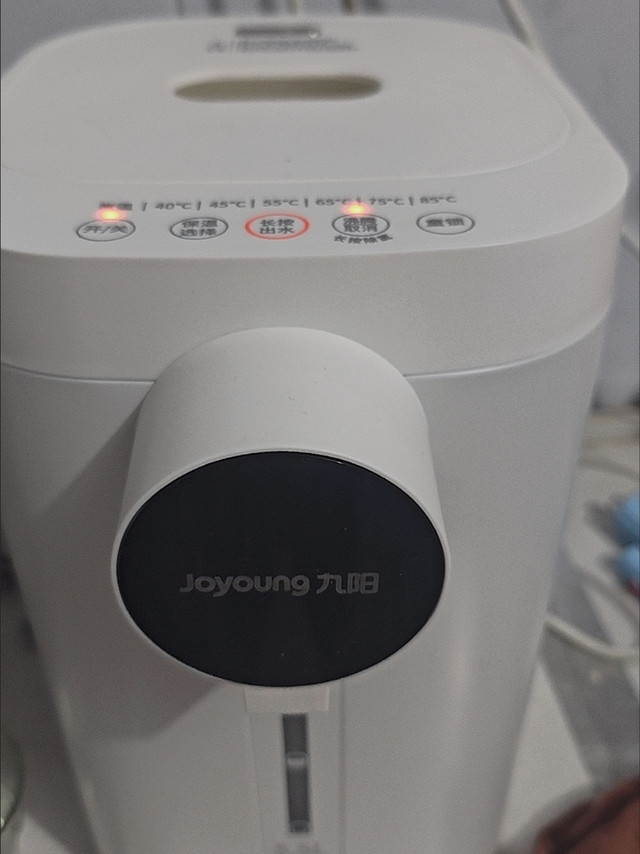 全家饮水安全刚需！九阳小钢瓶PR1560全钢水路恒温电热水瓶实测