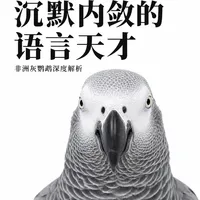 非洲灰鹦鹉科学饲养专业指南（收藏级）