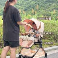高景观推车怎么选？EMU Pro和Max深度对比，新手爸妈避坑指南