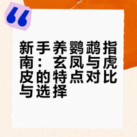 新手养鹦鹉|玄凤vs虎皮,哪个更适合你?