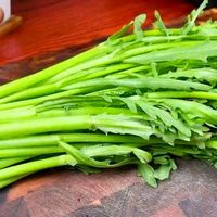 4种少油又好吃的莴笋做法，清爽低脂超简单