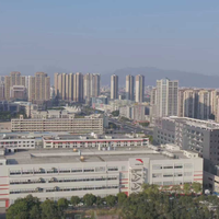 国产碳板跑鞋三强对决：谁才是你破三路上的真命天子？
