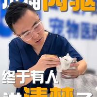 小猫体内驱虫全攻略：时间、选药与避坑指南