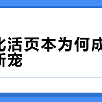 史努比活页本为何成了学生党新宠？