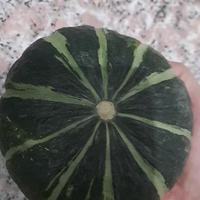 🎃美邻惠享家贝贝南瓜｜一口板栗香，粉糯甜润，宝宝辅食天花板