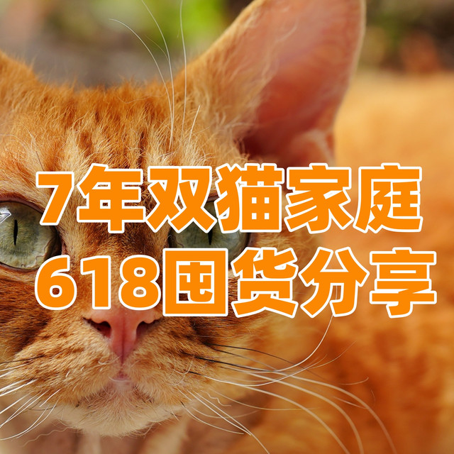 7年双猫家庭囤货分享！猫粮、猫砂、零食618选购推荐