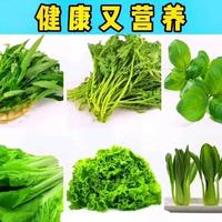 绿叶菜放冰箱前千万别洗，90%的人做错了
