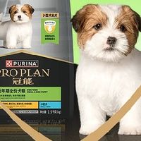 冠能犬粮：科学营养，呵护肠胃