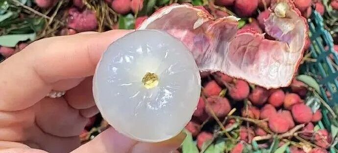 “活荔枝”与“死荔枝”上热搜,北方网友破防:原来吃的全是“尸体”?_其他水果_什么值得买