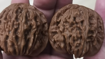 四座楼狮子头核桃把玩体验