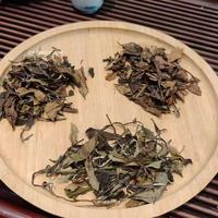 3年还是5年老白茶？新手避坑指南+真实性价比对比