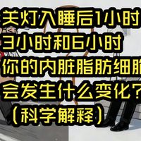 关灯入睡后1小时、3小时和6小时，你的内脏脂肪细胞会发生什么变化？（科学解释）