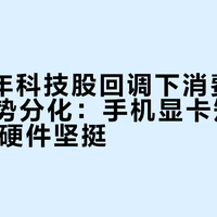 2026年科技股回调下消费电子价格走势分化：手机显卡短期降价，AI硬件坚挺