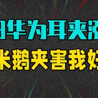 618大促期间华为耳夹还涨价？小米鹅夹你害我好苦 奢音s5 华为freeclip2 .....