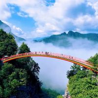 神农架四大景区免门票!5月花海正盛,这份避坑攻略快收好