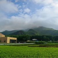 三款热门有机胚芽米深度测评：谁真靠谱？选错等于白花冤枉钱