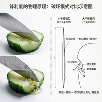 中式片刀vs日系三德刀：选对不选贵，厨房效率翻倍的关键在这