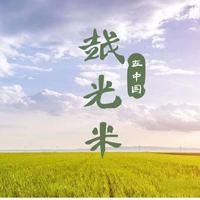 越光米vs秋田小町：寿司饭到底选谁？2026年5月避坑指南