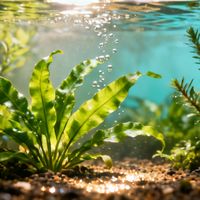 夏季水草缸水质稳定全攻略：从诱因识别到异常应对